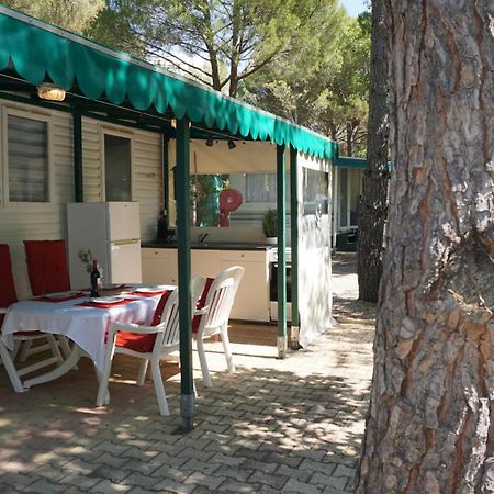 Chalets Met Buitenkeuken Op Camping Lei Suves - Joycasa Roquebrune-sur Argens Bagian luar foto