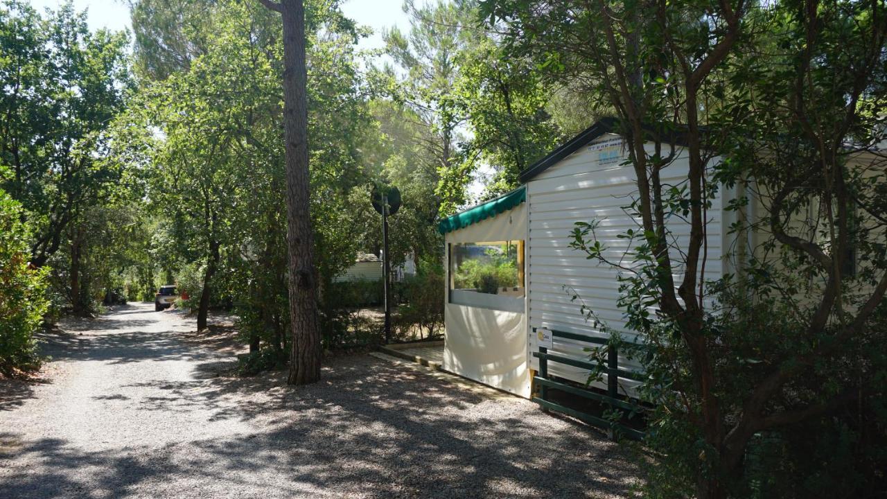 Chalets Met Buitenkeuken Op Camping Lei Suves - Joycasa Roquebrune-sur Argens Bagian luar foto