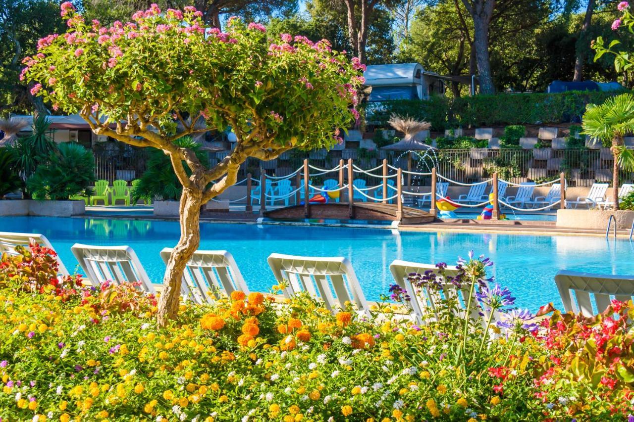 Chalets Met Buitenkeuken Op Camping Lei Suves - Joycasa Roquebrune-sur Argens Bagian luar foto