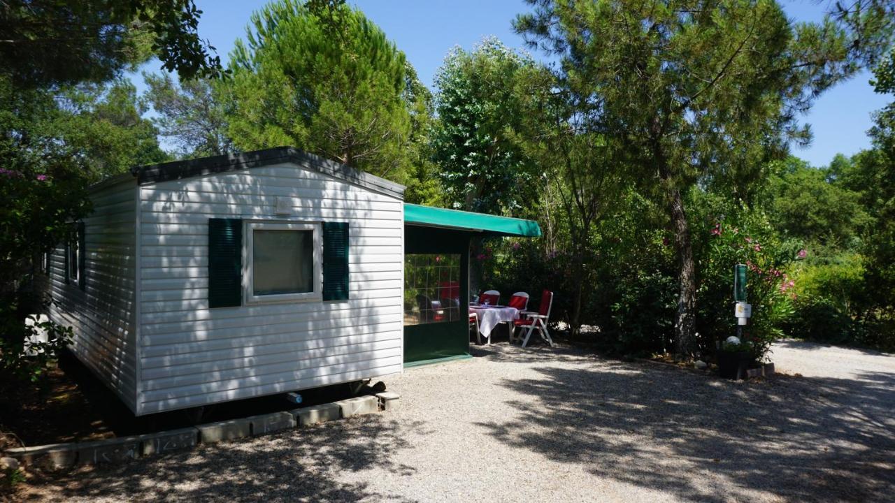 Chalets Met Buitenkeuken Op Camping Lei Suves - Joycasa Roquebrune-sur Argens Bagian luar foto