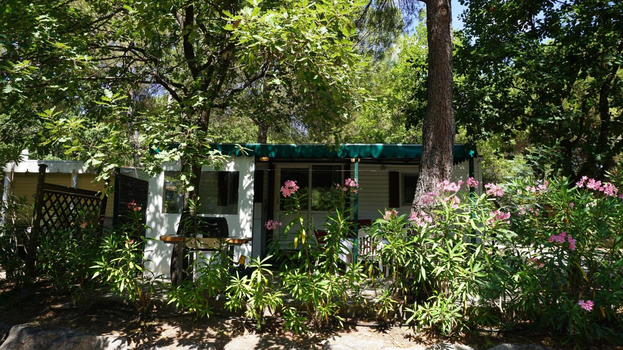 Chalets Met Buitenkeuken Op Camping Lei Suves - Joycasa Roquebrune-sur Argens Ruang foto